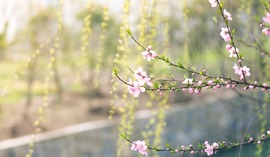 Będzie miło jak w słoneczne, wiosenne dni – sporo dobrego czeka polską gospodarkę w 2025 roku