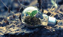 Ekologiczne inwestycje BNP Paribas