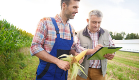 Kredyt płynnościowy – co to jest i kto może z niego skorzystać?