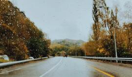 Zderzenie z dzikim zwierzęciem - jak zlikwidować szkodę komunikacyjną?