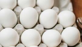 Wielkanoc 2025 – za 10 jaj zapłacisz dwa razy więcej! Co zrobić, żeby nie przepłacać?