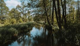 Podlaski Czek Turystyczny: 300 zł dopłaty do noclegów. Liczy się termin i kod