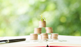 Fundusz parasolowy – co to jest, jak działa i kiedy się opłaca?