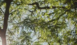 Kredyt hipoteczny na energooszczędne nieruchomości – nowość w Credit Agricole