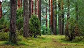 Credit Agricole oferuje pierwszą na polskim rynku kartę z ekotworzywa