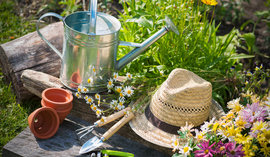 Kredyt na działkę ROD. Czy bank udzieli finansowania?