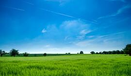 Kredyty dla rolników – gdzie znajdziesz najlepszy kredyt gotówkowy dla rolników z korzystnym oprocentowaniem?