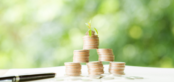 Fundusz parasolowy – co to jest, jak działa i kiedy się opłaca?