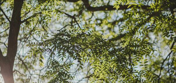 Kredyt hipoteczny na energooszczędne nieruchomości – nowość w Credit Agricole